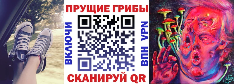 Галлюциногенные грибы GOLDEN TEACHER Макушино